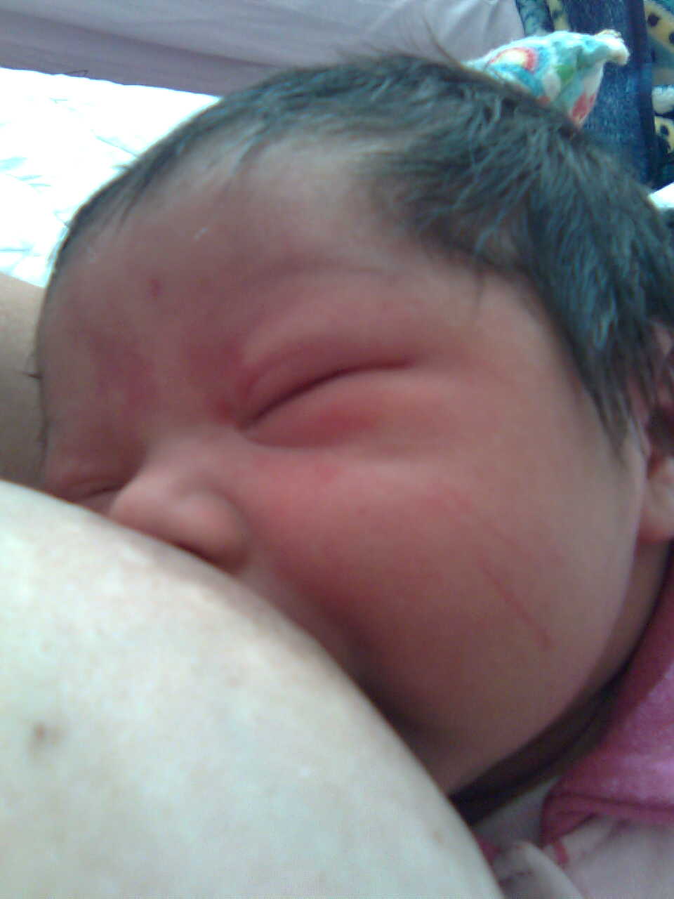 Fotos de lactancia (SMLM) II