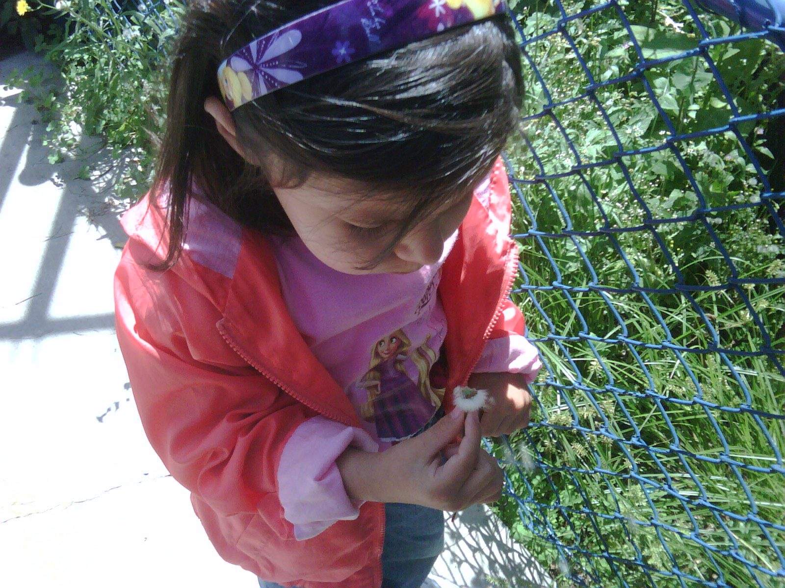 Empezar Homeschool en Mexico