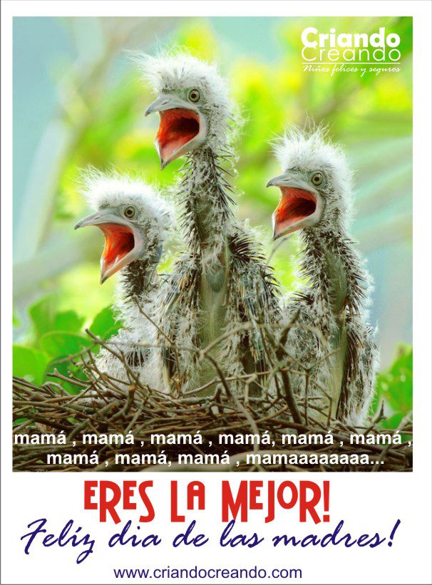 Feliz Dia de la Madre