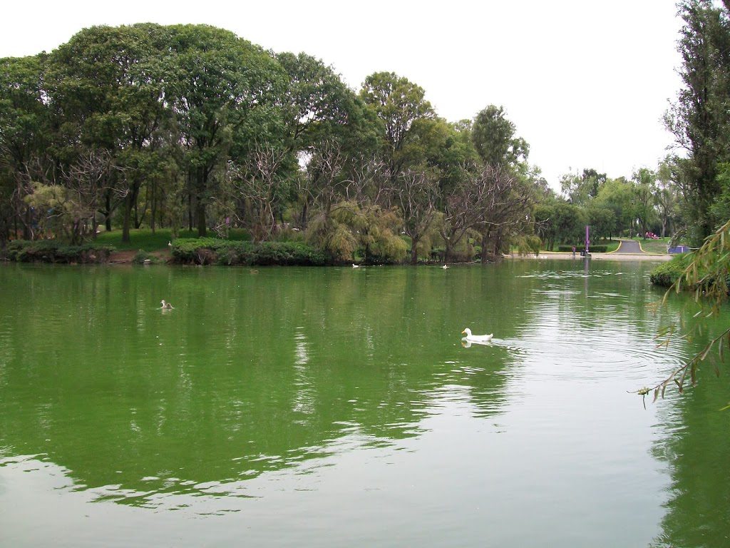 Vivir con lo suficiente