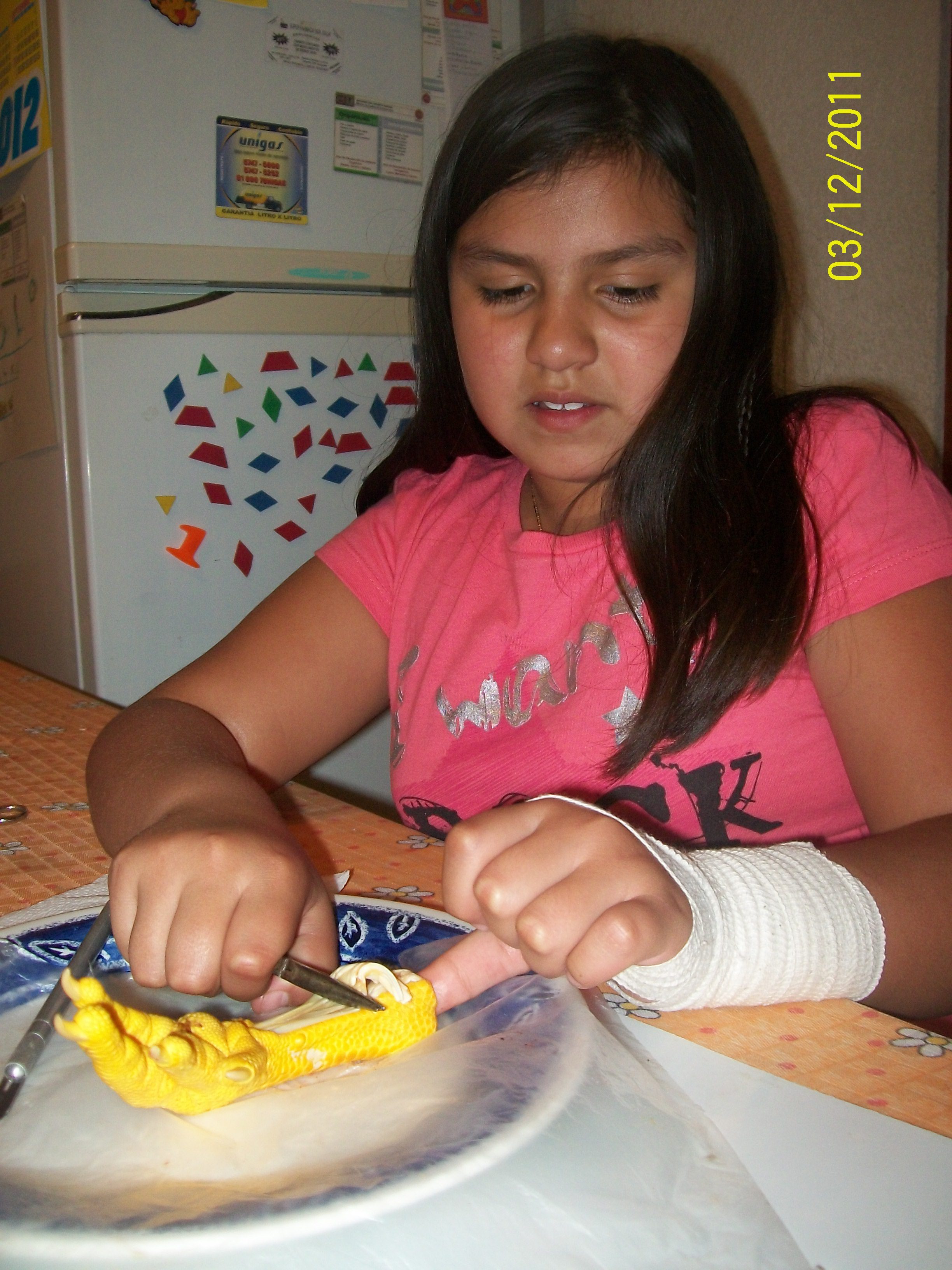 Un año de Homeschooling