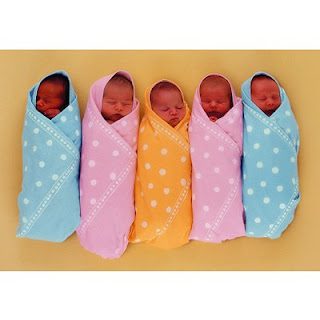 De adopciones fallidas