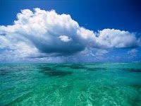 Mientras estés viva, siéntente viva