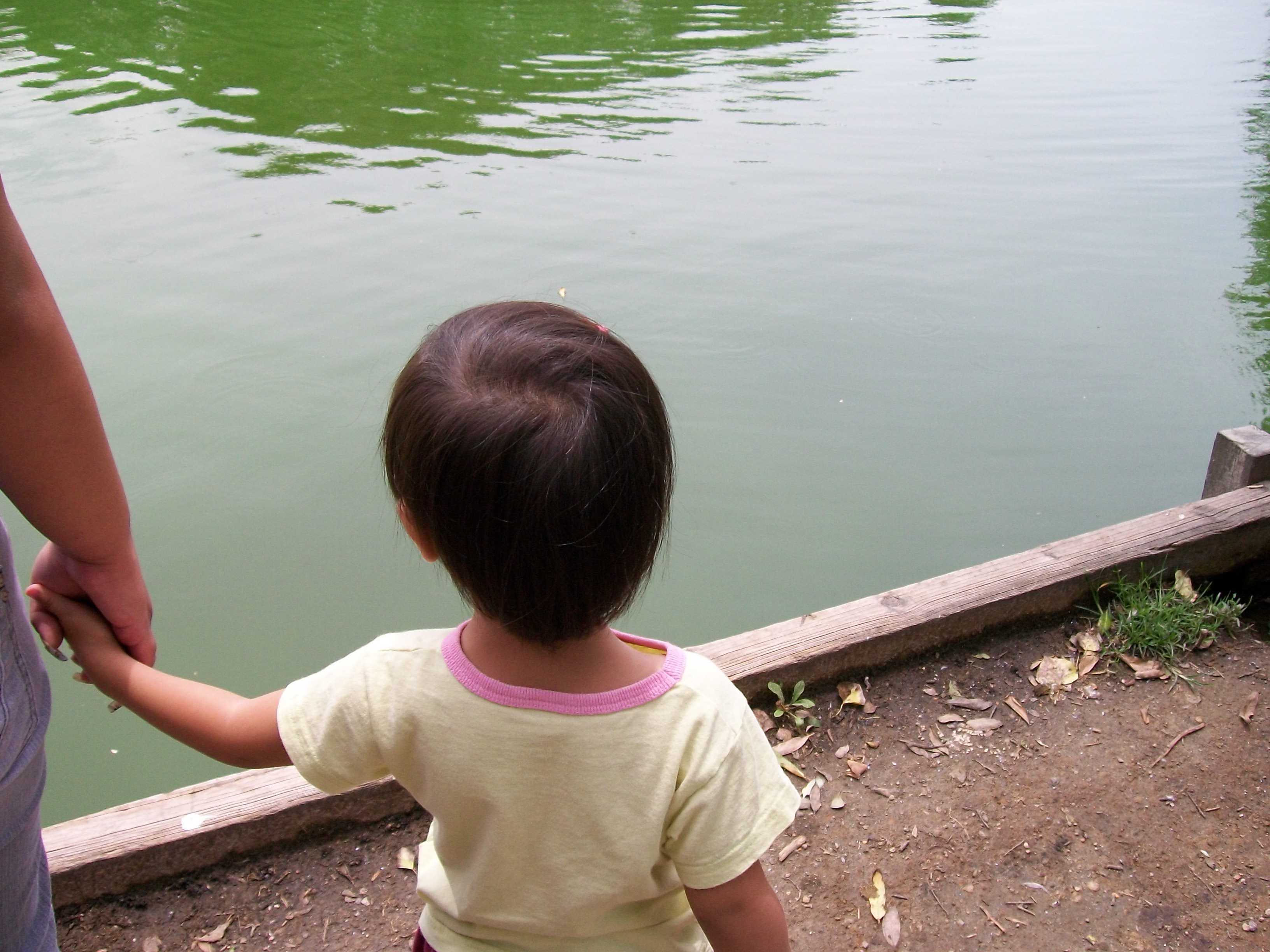 De banderas e ideales
