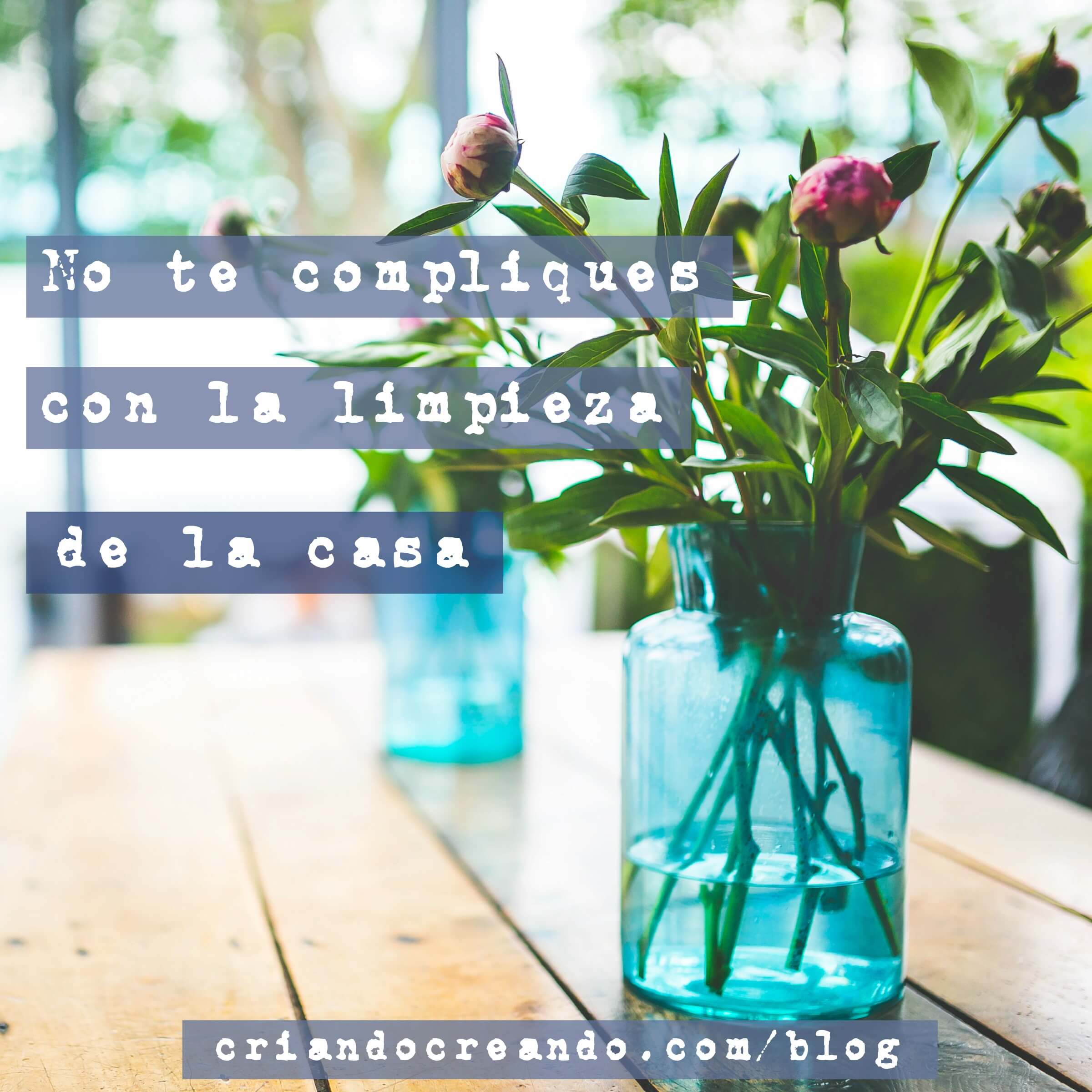 No te compliques con la limpieza de la casa