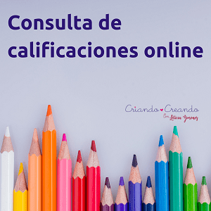 Consulta de calificaciones online