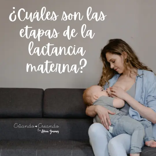 ¿Cuáles son las etapas de la lactancia materna?